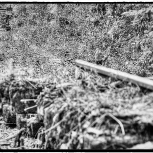 IMG_1788_Fotor.jpg