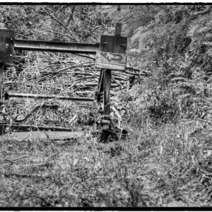 IMG_1792_Fotor.jpg