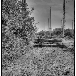 IMG_1793_Fotor.jpg