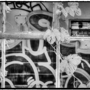IMG_1802_Fotor.jpg