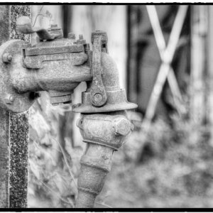 IMG_1812_Fotor.jpg