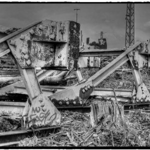 IMG_1820_Fotor.jpg