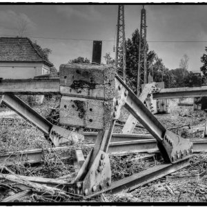 IMG_1821_Fotor.jpg