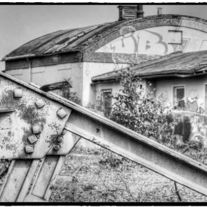 IMG_1824_Fotor.jpg