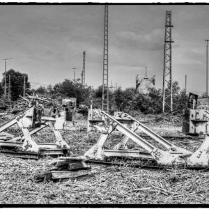 IMG_1826_Fotor.jpg