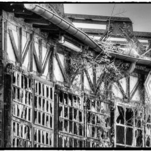 IMG_1829_Fotor.jpg