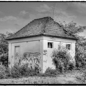 IMG_1830_Fotor.jpg