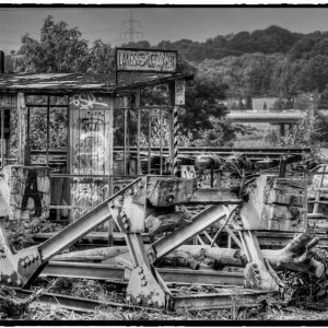 IMG_1833_Fotor.jpg