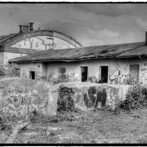 IMG_1837_Fotor.jpg