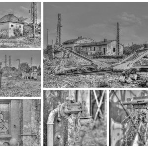 Collage_Fotor3x.jpg