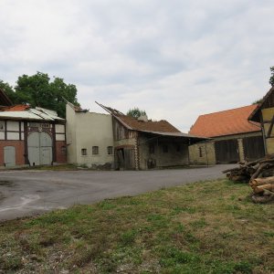 IMG_7586.JPG
