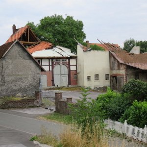 IMG_7535.JPG