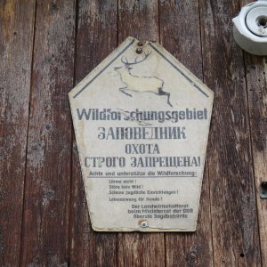 IMG_9301.JPG