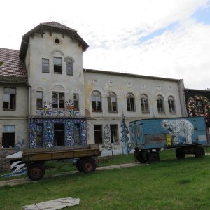 IMG_9265.JPG