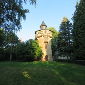 IMG_0564.JPG
