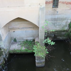 IMG_1264.JPG