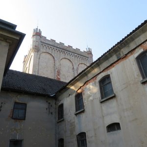 IMG_1263.JPG