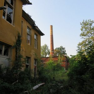 IMG_1152.JPG