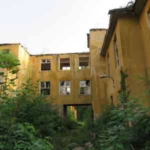 IMG_1174.JPG