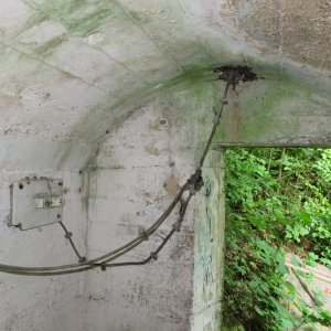 IMG_1244.JPG