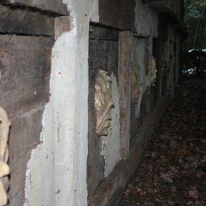 comp_IMG_2766.jpg