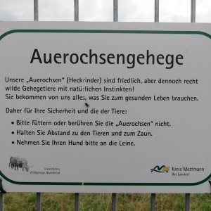 IMG_2218.JPG