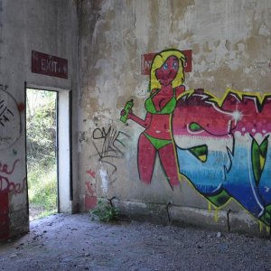DSC_0186.JPG