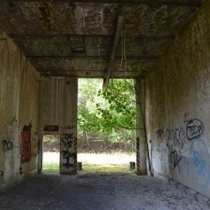DSC_0190.JPG