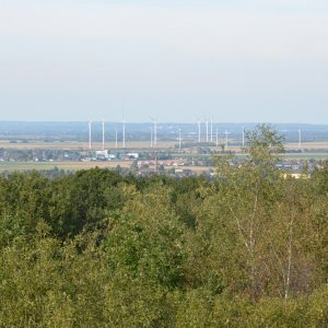 DSC_0216.JPG