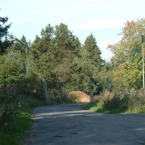 DSCF0062.JPG