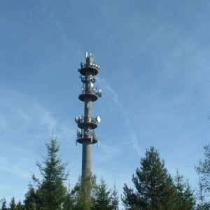 DSCF0060.JPG