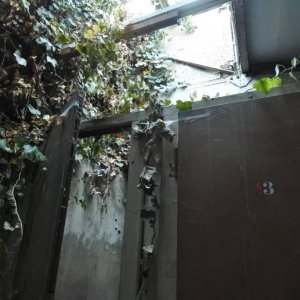 DSC_6226.jpeg