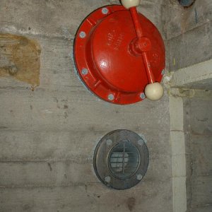 DSCF0137.JPG