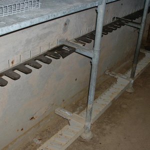 DSCF0144.JPG