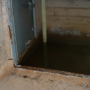 DSCF0145.JPG