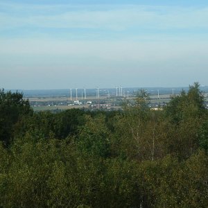 DSCF0274.JPG