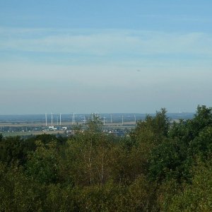 DSCF0277.JPG