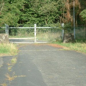 DSCF0310.JPG