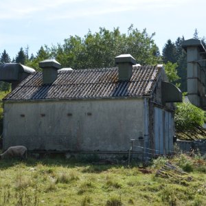 DSC_0074.jpg