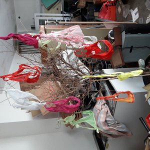 20190915_114454.jpeg