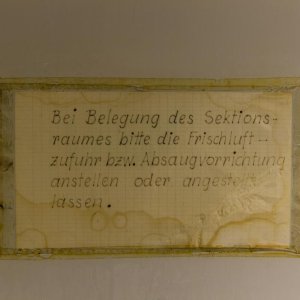 LZ-19.jpg