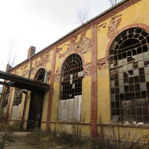IMG_7536.JPG