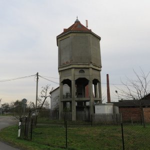 IMG_8807.JPG
