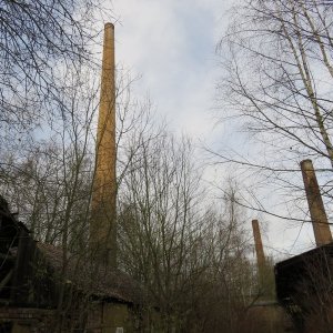 IMG_8385.JPG