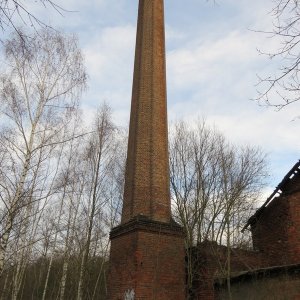 IMG_8368.JPG