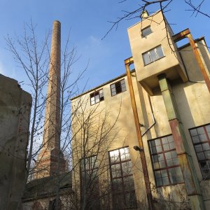 IMG_8691.JPG