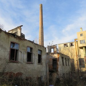 IMG_8783.JPG