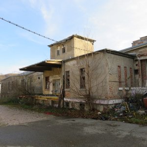 IMG_8736.JPG