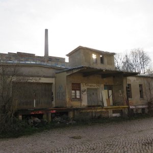 IMG_8726.JPG