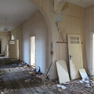 IMG_8564.JPG